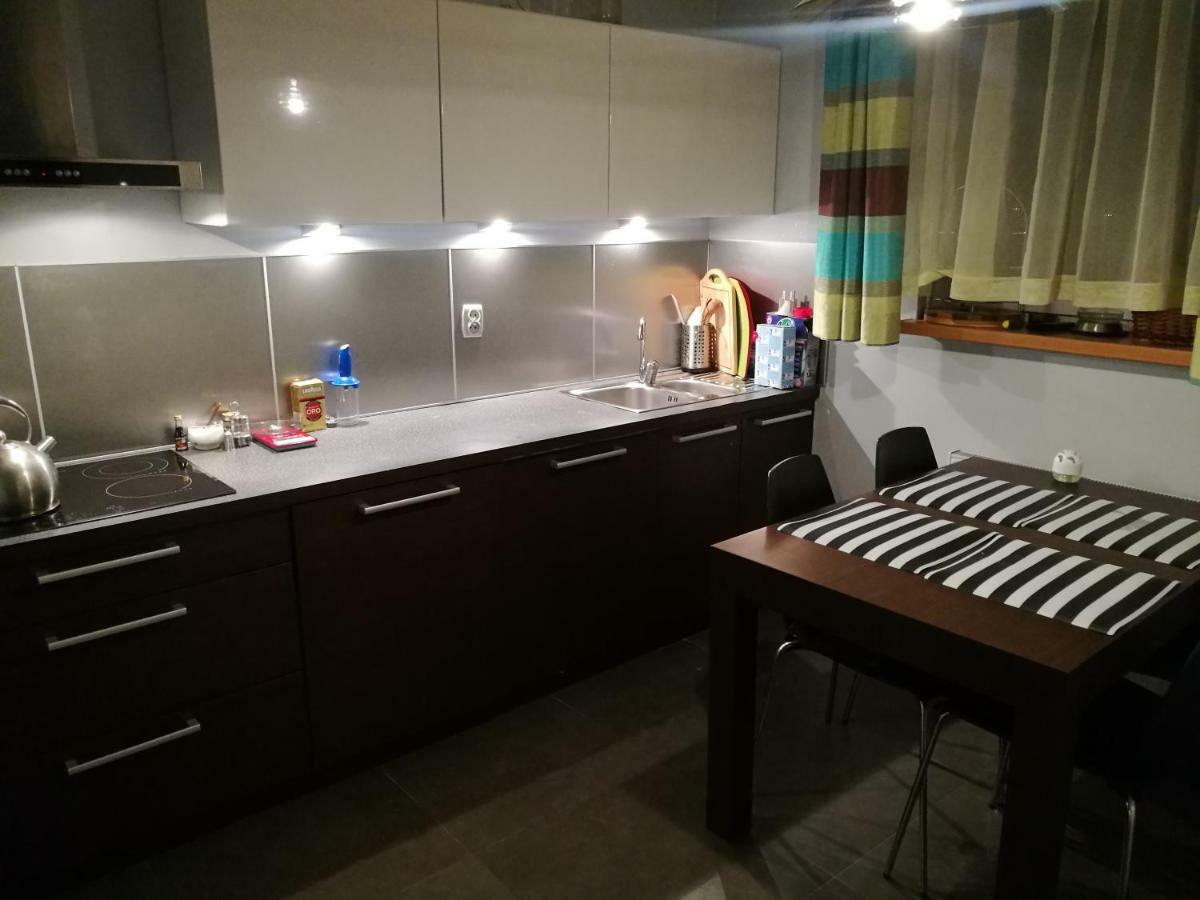 Salt Mine Apartment 64M2 Wieliczka Eksteriør billede